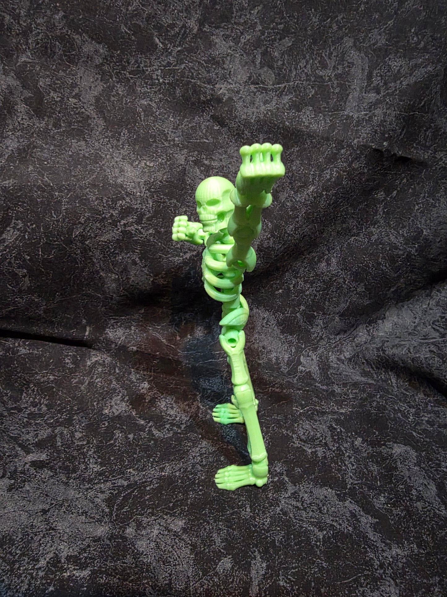 Flexi Bones